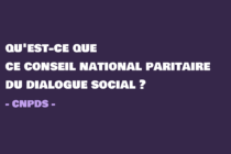 Conseil nationale paritaire du dialogue social - élections TPE